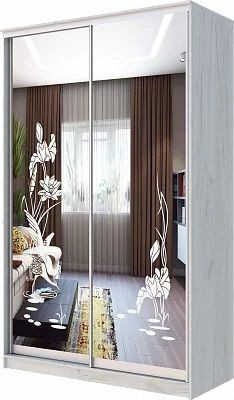 Шкаф-купе ХИТ 24-14-66 ЦАПЛИ в Лесном - lesnoy.mebel24.online | фото