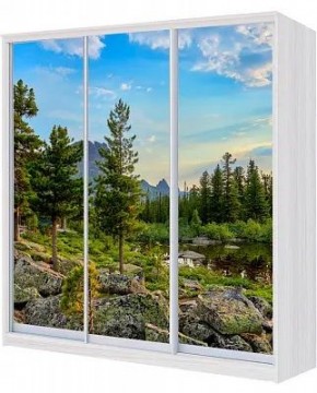 Шкаф-купе ХИТ 24-18/2-777 ПРИРОДА в Лесном - lesnoy.mebel24.online | фото
