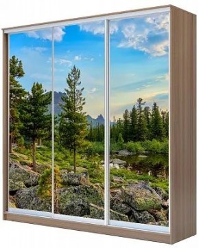 Шкаф-купе ХИТ 24-20/2-777 ПРИРОДА в Лесном - lesnoy.mebel24.online | фото