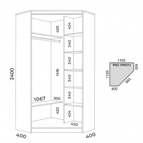 Шкаф-купе ХИТ-У-24-4-66 в Лесном - lesnoy.mebel24.online | фото 2