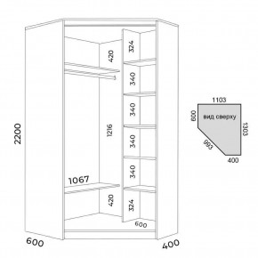 Шкаф-купе ХИТ-У-L-22-64-55 в Лесном - lesnoy.mebel24.online | фото 2