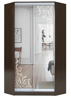 Шкаф-купе ХИТ-У-R-23-64-66 ОРНАМЕНТ в Лесном - lesnoy.mebel24.online | фото