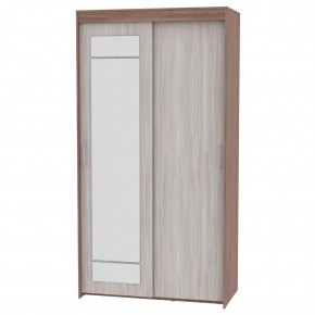 Шкаф-купе с зеркалом T-1-230х120х45-M (1-1) в Лесном - lesnoy.mebel24.online | фото