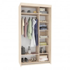 Шкаф-купе T-1-230х120х60 (1-1) в Лесном - lesnoy.mebel24.online | фото