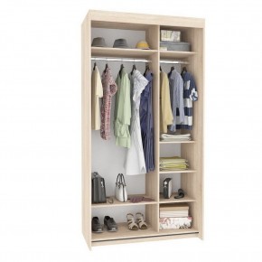 Шкаф-купе T-1-230х120х60 (3-3) в Лесном - lesnoy.mebel24.online | фото