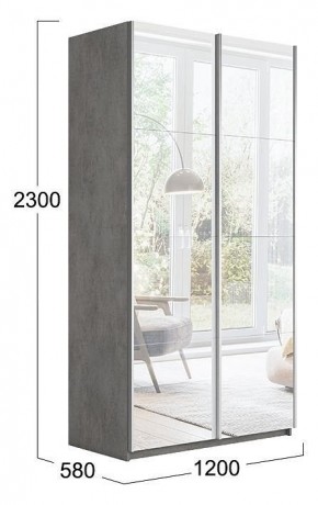 Шкаф-купе Траст СШК 2.120.60-13.13 в Лесном - lesnoy.mebel24.online | фото 3
