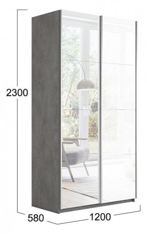 Шкаф-купе Траст СШК 2.120.60-13.15 в Лесном - lesnoy.mebel24.online | фото 3