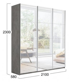 Шкаф-купе Траст СШК 2.210.70-13.13.13 в Лесном - lesnoy.mebel24.online | фото 3