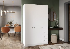 Шкаф Лофт 3-х створчатый в Лесном - lesnoy.mebel24.online | фото 1