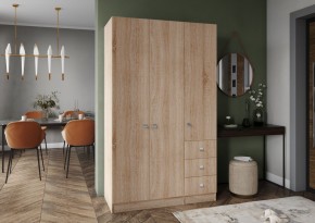 Шкаф Лофт 3-х створчатый в Лесном - lesnoy.mebel24.online | фото 3
