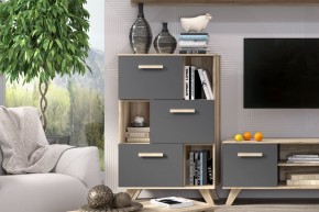 Шкаф низкий с нишами Вега Скандинавия в Лесном - lesnoy.mebel24.online | фото 6