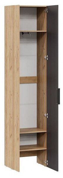 Шкаф платяной Асти в Лесном - lesnoy.mebel24.online | фото 2