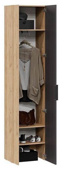 Шкаф платяной Асти в Лесном - lesnoy.mebel24.online | фото 3