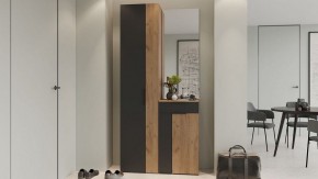 Шкаф платяной Асти в Лесном - lesnoy.mebel24.online | фото 5