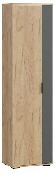 Шкаф платяной Эвита в Лесном - lesnoy.mebel24.online | фото