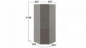 Шкаф платяной Либерти СМ-297.07.033 в Лесном - lesnoy.mebel24.online | фото 3