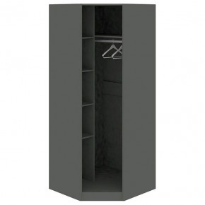 Шкаф платяной Наоми СМ-208.07.07 R в Лесном - lesnoy.mebel24.online | фото 2