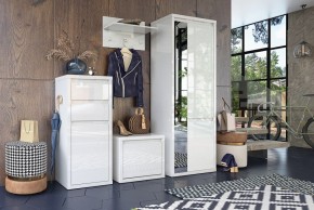 Шкаф платяной Норден СТЛ.413.01 в Лесном - lesnoy.mebel24.online | фото 4