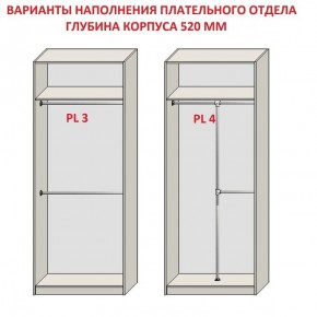 Шкаф распашной серия «ЗЕВС» (PL3/С1/PL2) в Лесном - lesnoy.mebel24.online | фото 10