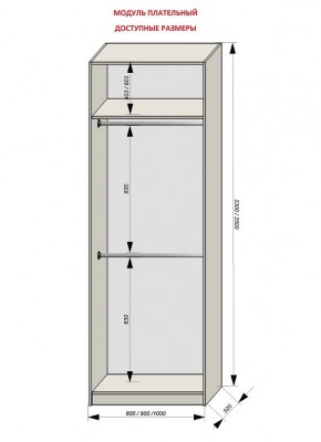 Шкаф распашной серия «ЗЕВС» (PL3/С1/PL2) в Лесном - lesnoy.mebel24.online | фото 12