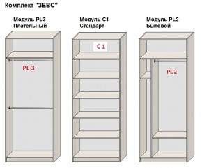 Шкаф распашной серия «ЗЕВС» (PL3/С1/PL2) в Лесном - lesnoy.mebel24.online | фото 2