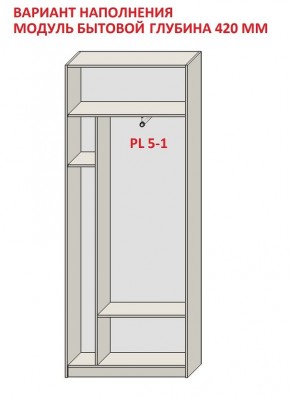 Шкаф распашной серия «ЗЕВС» (PL3/С1/PL2) в Лесном - lesnoy.mebel24.online | фото 4