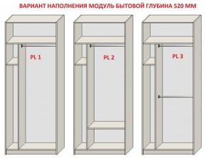 Шкаф распашной серия «ЗЕВС» (PL3/С1/PL2) в Лесном - lesnoy.mebel24.online | фото 5