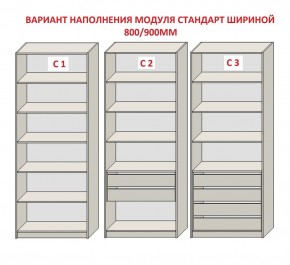 Шкаф распашной серия «ЗЕВС» (PL3/С1/PL2) в Лесном - lesnoy.mebel24.online | фото 6