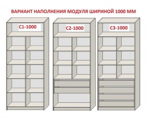 Шкаф распашной серия «ЗЕВС» (PL3/С1/PL2) в Лесном - lesnoy.mebel24.online | фото 7