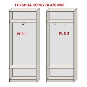 Шкаф распашной серия «ЗЕВС» (PL3/С1/PL2) в Лесном - lesnoy.mebel24.online | фото 8