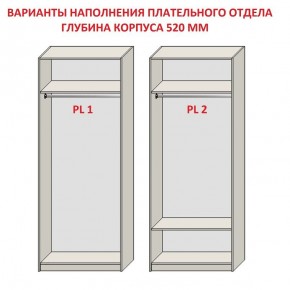 Шкаф распашной серия «ЗЕВС» (PL3/С1/PL2) в Лесном - lesnoy.mebel24.online | фото 9