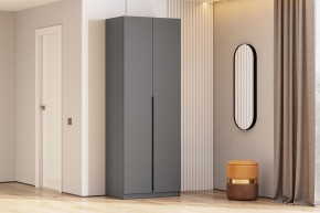 Шкаф ШК-5 + 2 полки (800) Графит серый в Лесном - lesnoy.mebel24.online | фото 2