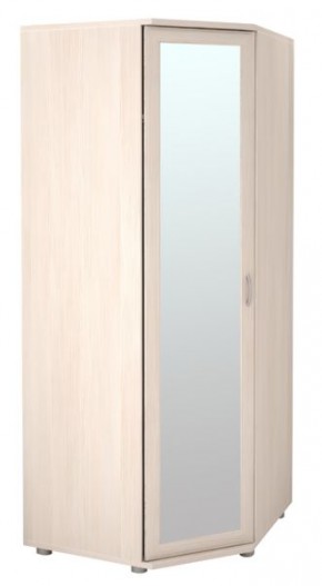 Шкаф угловой для одежды Ника-Люкс 30 с зеркалами в Лесном - lesnoy.mebel24.online | фото 1