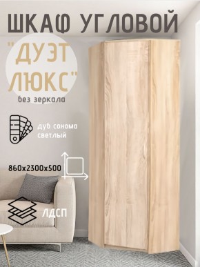 Шкаф угловой Дуэт Люкс без зеркала в Лесном - lesnoy.mebel24.online | фото 5
