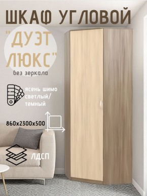 Шкаф угловой Дуэт Люкс без зеркала в Лесном - lesnoy.mebel24.online | фото 7