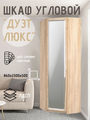 Шкаф угловой Дуэт Люкс с зеркалом в Лесном - lesnoy.mebel24.online | фото