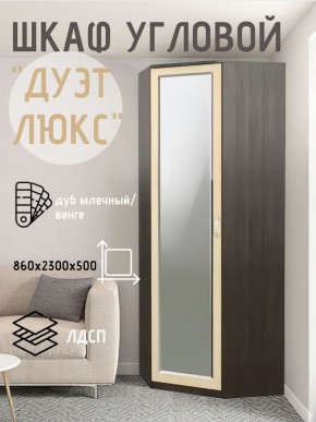 Шкаф угловой Дуэт Люкс с зеркалом в Лесном - lesnoy.mebel24.online | фото 5