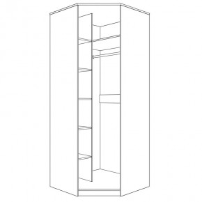 Шкаф угловой (корпус) Парма Нео в Лесном - lesnoy.mebel24.online | фото 4