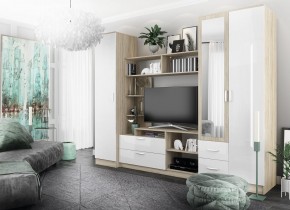 СОФИ Гостиная (модульная) дуб сонома/белый глянец в Лесном - lesnoy.mebel24.online | фото