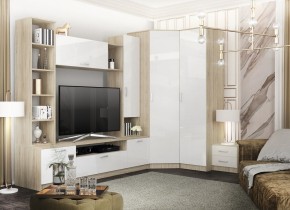 СОФИ Гостиная (модульная) дуб сонома/белый глянец в Лесном - lesnoy.mebel24.online | фото 27