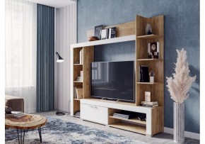 Стенка для гостиной Касэль в Лесном - lesnoy.mebel24.online | фото 2