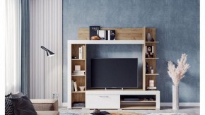 Стенка для гостиной Касэль в Лесном - lesnoy.mebel24.online | фото 3