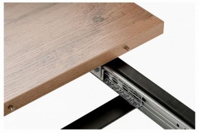 Стол обеденный Лота Лофт в Лесном - lesnoy.mebel24.online | фото 6