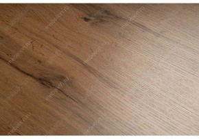 Стол письменный Битти Лофт в Лесном - lesnoy.mebel24.online | фото 5