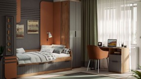 Стол письменный Хилтон Тип 1 в Лесном - lesnoy.mebel24.online | фото 6