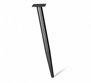 Стол письменный SHT-TU14/TT31 120/65 в Лесном - lesnoy.mebel24.online | фото 6