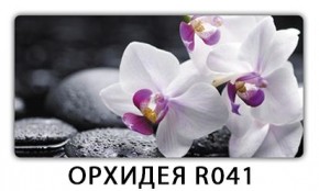 Стол раздвижной-бабочка Трилогия с фотопечатью Цветы R044 в Лесном - lesnoy.mebel24.online | фото 20