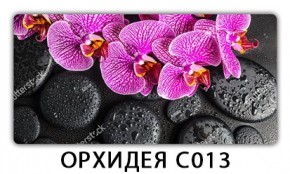 Стол раздвижной Трилогия с фотопечатью Доска D112 в Лесном - lesnoy.mebel24.online | фото 14