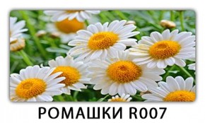 Стол раздвижной Трилогия с фотопечатью Доска D113 в Лесном - lesnoy.mebel24.online | фото 15