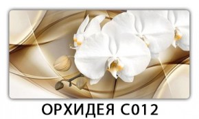 Стол раздвижной Трилогия с фотопечатью Лайм R156 в Лесном - lesnoy.mebel24.online | фото 13